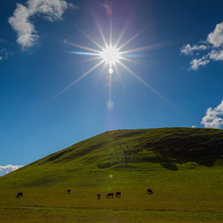 Landscape Photography - Products