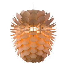hazel_collins16's Ideas