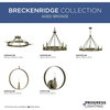 Breckenridge 5 Light Chandelier, Aged Bronze