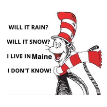 silly memes