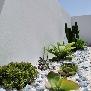 Jardín costero en Conil