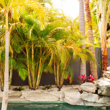 Tropical Design & Installation - South St. Petersburg