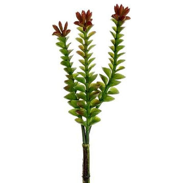 Silk Plants Direct Crassula Pick - Green Burgundy - Pack of 24