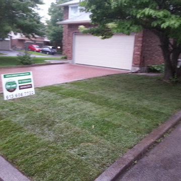 2014 Sodding After Pictures