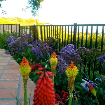Las Alturas Road, Santa Barbara