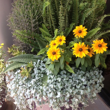 Summer Containers