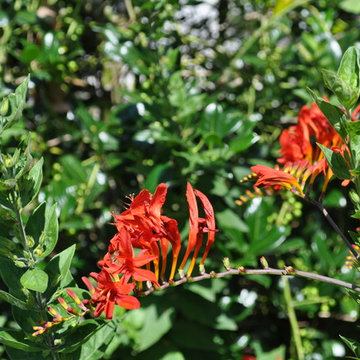 naturnaher romantischer Garten