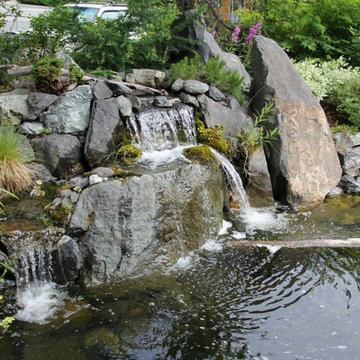 Water Features