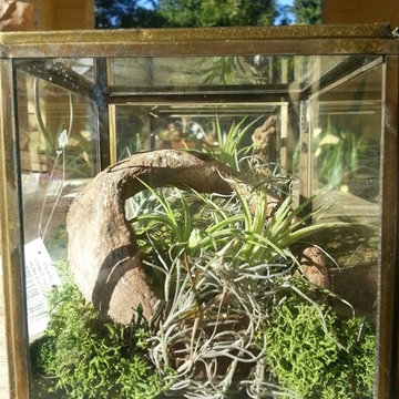 Hand crafted terrariums