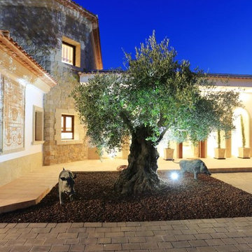 Villa Medusa
