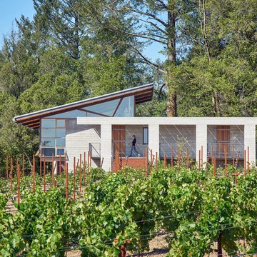 Kistler Vineyard