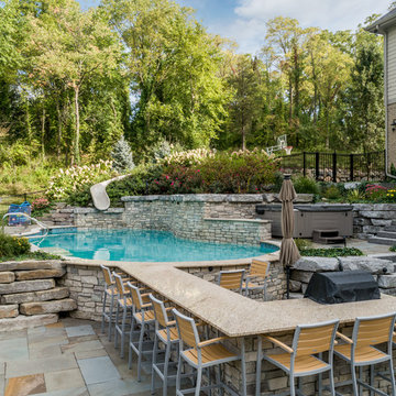 Milford, MI - Backyard Pool Bar Landscape Design & Install