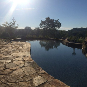 Natural Free Form Pool