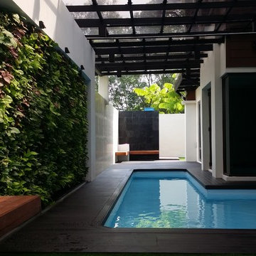 Bukit Jelutong 2nd Phase