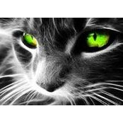 Cindy Walker's photo