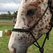 Michele Slocum-Ackerman's photo