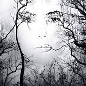 Marsha Harben's photo