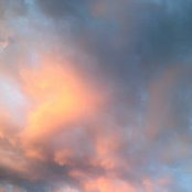 Jane Driscoll's photo