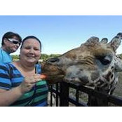 Julie Lescarbeau's photo