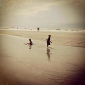 Kathy Turnerさんの写真
