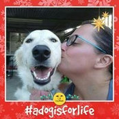Jackie Schembri's photo