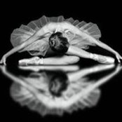 Sveta Profir's photo