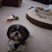 Michelle Weiler's photo