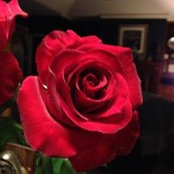 Melise Ankersen's photo