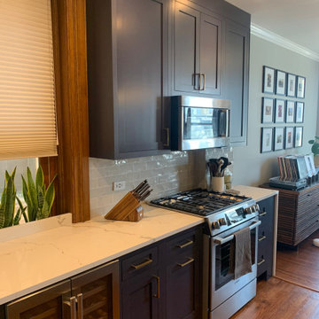 Condo Remodel - Lakeview West, Chicago, IL