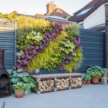 Patio Ideas