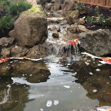 Bull Mountain Japanese Garden
