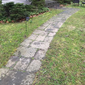 Vintage Sidewalk Rehab