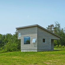 Tiny JoJo Shed