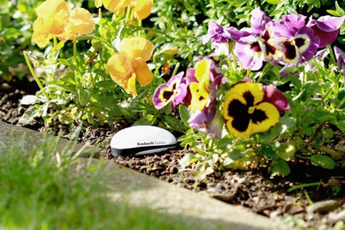Design ideas for a landscaping in Other.