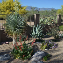 desert garden