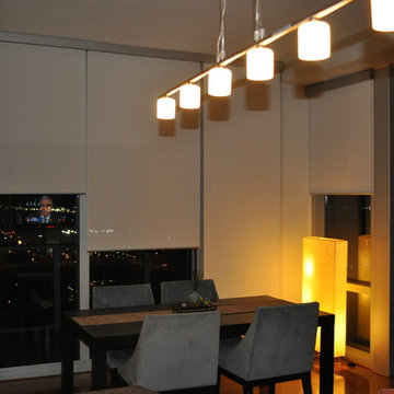 Roller Shades at "The VUE" Lake Eola in Orlando City
