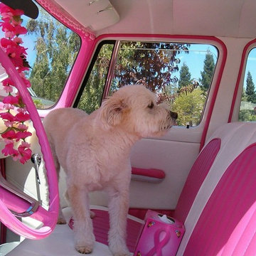 Auto Upholstery