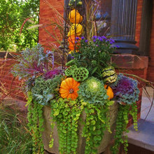 Fall Planters