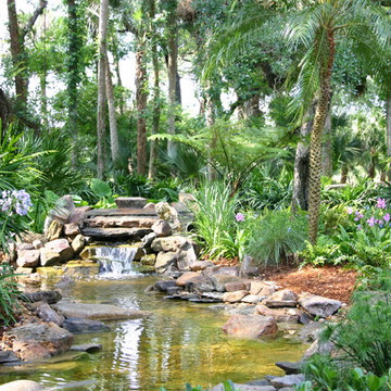 Natural Waterfall & Tropical Gardens