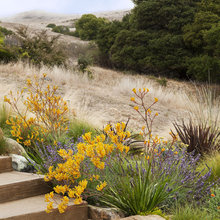 Landscape Ideas