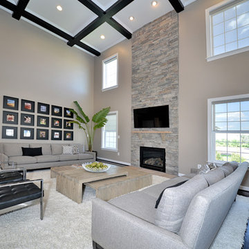 Modern Family Room / Modern Living Room