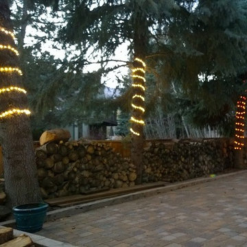 Mountain Rustic Patio Lighting - Tree Wrap Lighting