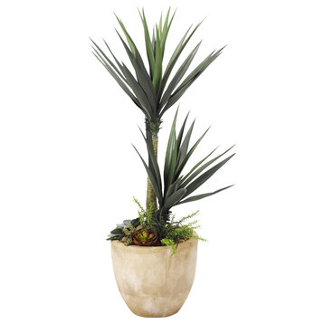 Aloe Plant With Succulent Underplanting in Round Planter