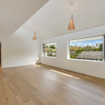 The Asymmetry House