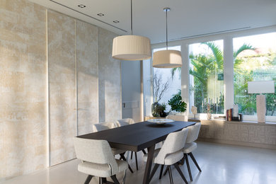 Design ideas for a contemporary dining room in Miami.