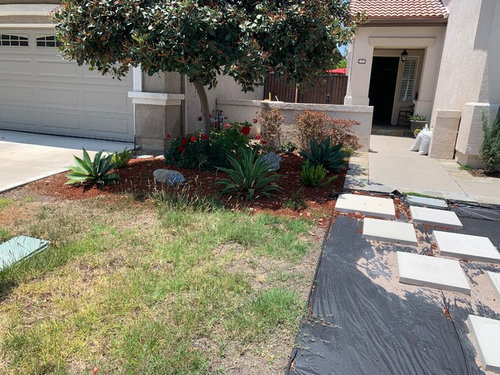 Front yard landscape needs help!