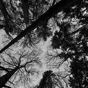 Matt Solomon's photo