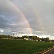 Shirley Bridges's photo
