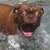 Jacqueline Lade's photo