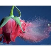 Khaled Sabbagh's photo